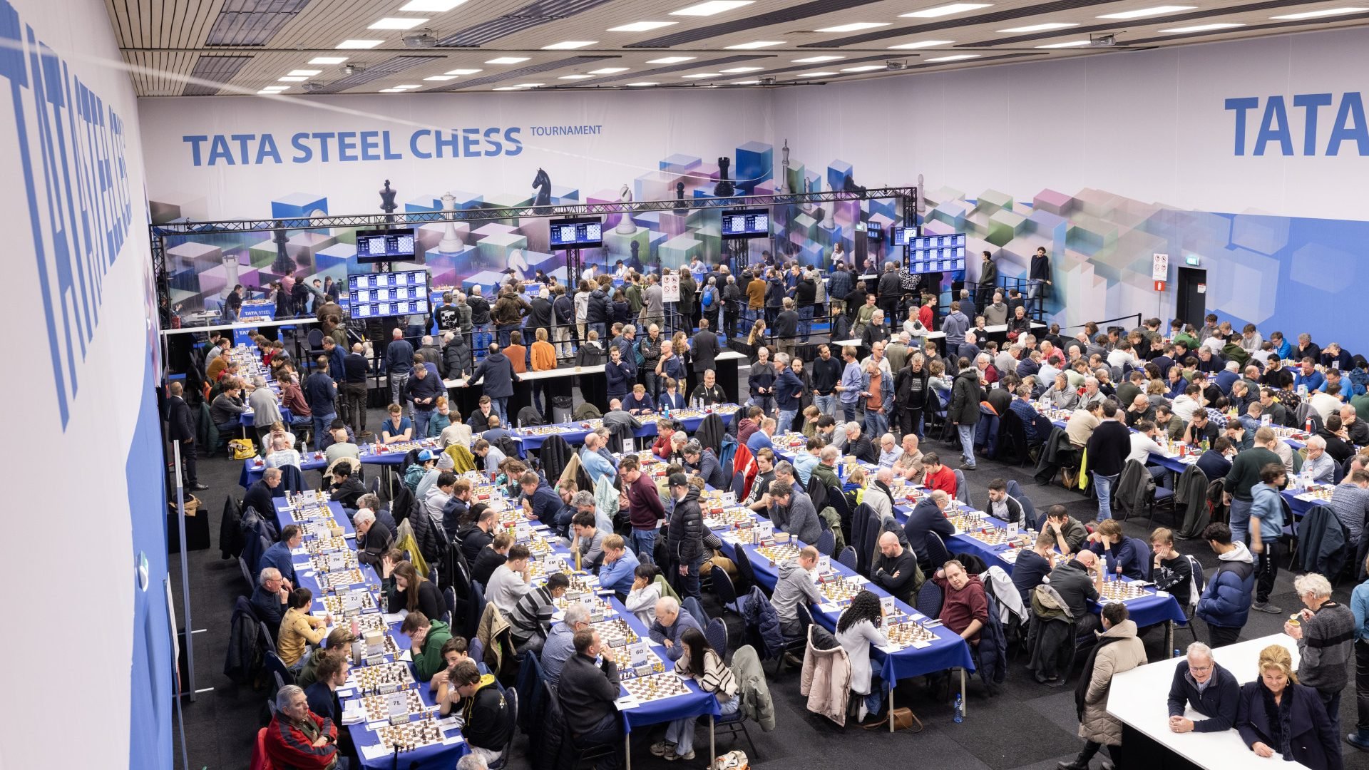 Фестиваль Tata Steel Chess Tournament 2024